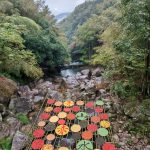 柿子红了,我们来啦–小蜜蜂爱心帮车队红色之旅活动圆满结束插图(9) IMG_20251106_111949