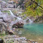 柿子红了,我们来啦–小蜜蜂爱心帮车队红色之旅活动圆满结束插图(8) IMG_20251106_112947