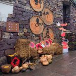 柿子红了,我们来啦–小蜜蜂爱心帮车队红色之旅活动圆满结束插图(4) IMG_20251106_114759